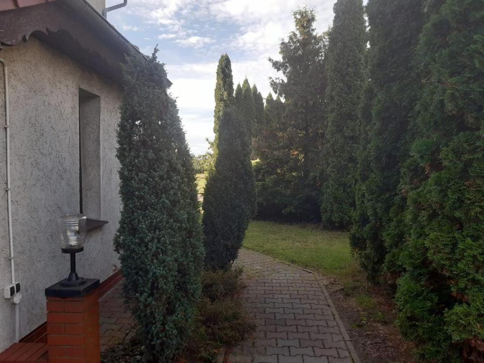 Noclegi Nowogrodziec Bagian luar foto